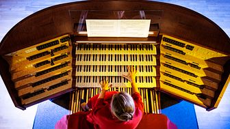 The new Gothenburg Concert Hall Organ, photo Ola Kjelbye.