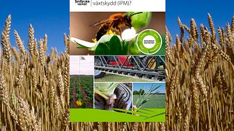 Den nya broschyrens upplägg gör det lättare att göra rätt och minska beroendet av kemiska växtskyddsmedel. Bakgrundsfoto: Vetefält, Urban Wigert.