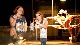 Meet the scientists at Body Worlds