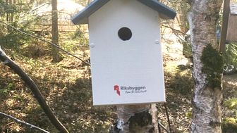 Fågelholkar flyger in på topplistan över bostadsrättsföreningarnas hållbarhetsåtgärder