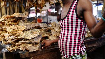 Tørrfiskselger på marked i Nigeria