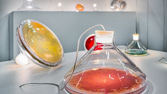 Lamps designed by Formex Nova nominee Jan Klingler. Photo: TrendNomad