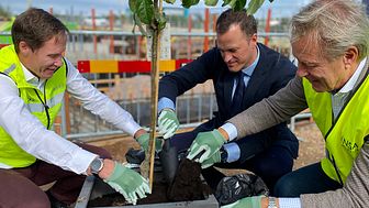 Kristian Jansson, regionchef Serneke, Simon Chrisander, kommunalråd Malmö Stad och Claes Malmkvist, vd Lansa Fastigheter planterade ett äppleträd under första spadtaget för Solmagasinet.