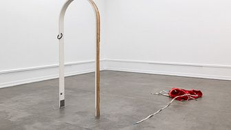Lorck Schive Kunstpris 2021: Tori Wrånes, "Gratulerer / Kondolerer", 2021.
