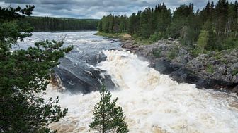Naturskyddsföreningen och Instalco värnar om Östersjön och Sveriges andra livsviktiga vatten. Foto: Fredrik Hjerling.