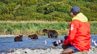 Hurtigruten Expeditions Donates 1% of each Alaskan Booking During Earth Week to Protect Alaskan Wildlife