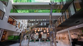 Möt fem meter höga giraffer i kontorsmiljö, på Sveavägen 20