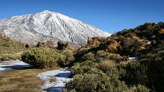 Nationalparken Teide