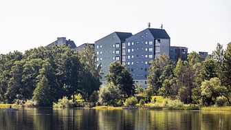 Välle Broar, ett av Växjö kommuns träbyggnadsprojekt det det byggs bostäder av olika slag. Foto: Anders Bergön