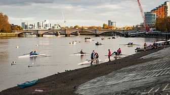 Rowers in Putney. Credit: Port of London Authority