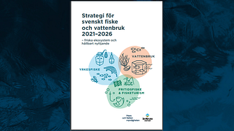 Den 31 maj överlämnade Havs- och vattenmyndigheten och Jordbruksverket en gemensam strategi för svenskt fiske och vattenbruk för 2021-2026 till regeringen. Strategin har utformats i samverkan med näringar, intresseorganisationer och myndigheter.