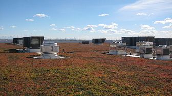 Vast vegetated roof installed at Chicago O'Hare Int. Airport 