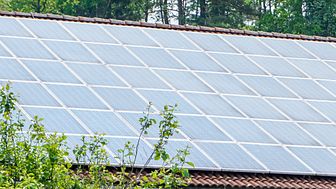 Photovoltaikanlage mieten oder kaufen?