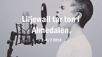 Liljewall tar ton i Almedalen 
