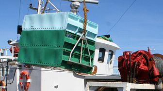 EU:s fiskekvoter för Östersjön klara – ökat fiske av sill tillåts