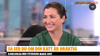 Marie Jury från Väsby Djursjukhus besöker Aftonbladets morgon TV 