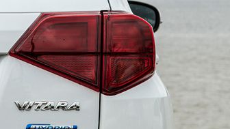 I første halvår af 2021 står Suzuki for 19,6 pct. af alle biler med mild-hybrid motorteknologi og er dermed det bilmærke med fleste solgte mild-hybrider i Danmark.