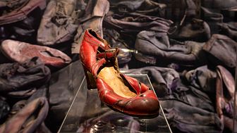 A woman’s dress shoe belonging to an unknown deportee to Auschwitz (1940s) - Collection of the Auschwitz-Birkenau State Museum.