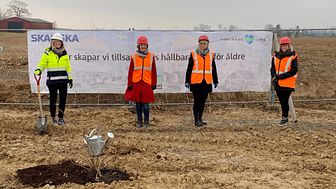 Plantering som startskott för bygge av äldreboende i Skurup. Foto: Molly Berggren Skånska Dagbladet