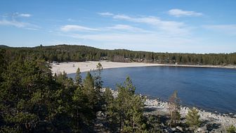 Sveriges ledande turistforskare gör förstudie för Härnösand och Höga Kusten
