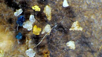 SVU-rapport C IVL2014-B2208: Mikroskopiska skräppartiklar i vatten från avloppsreningsverk  (avlopp och miljö)