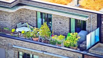 Trendthema „City Gardening" – StadtgärtnerInnen im Fokus. Foto: Pixabay