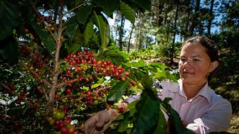En av kaffebøndene som har deltatt i prosjektet holder til i Marcala, La Paz, i Honduras. 