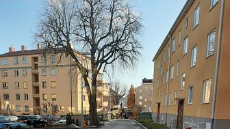 Djäknebergsgatan görs om till Västerås första bymiljöväg