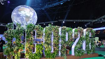 Verdens Skoves på COP 26: Fokus på afskovning og CO2-kvoter