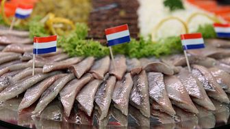 Matjessild er populært i Nederland