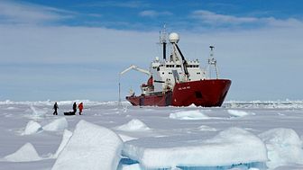Researchers working in the Antarctic 