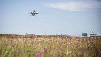 Swedavias flygpassagerarstatistik för maj 2018 illustreras med bild av flygplan vid Stockholm Arlanda Airport. Fotograf Stina Sandsjö.