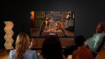 Disney+ launches on Sony Android TVs