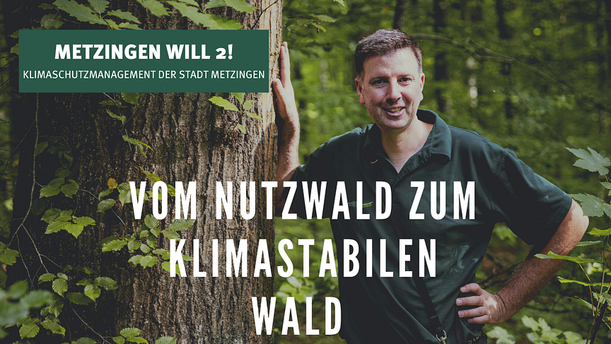 Vom Nutzwald zum klimastabilen Wald – Einladung zum Waldspaziergang mit Revierförster Jürgen Dufner