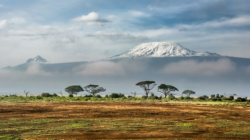 Amboseli National Park, Kenya. Fotokilde: Unsplash.com