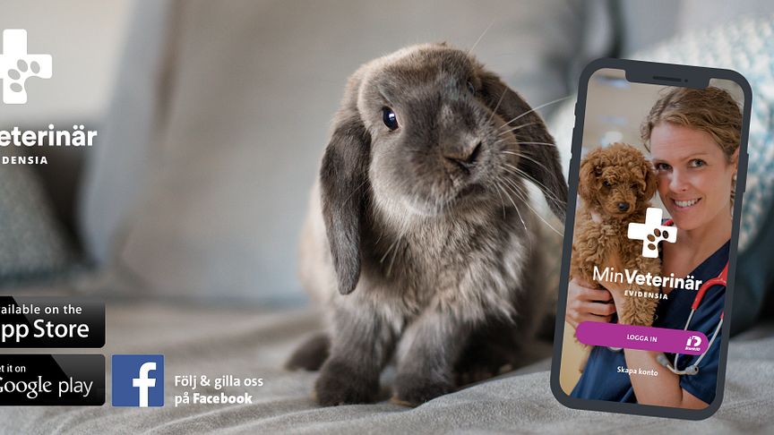 Min Veterinär – nu kan djurägare träffa Evidensias veterinärer även i mobilen