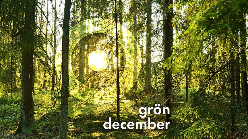 Procurator väljer en grön december - ett träd för varje ny kund!