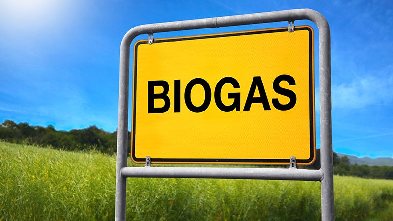 Rekordstort intresse för biogas