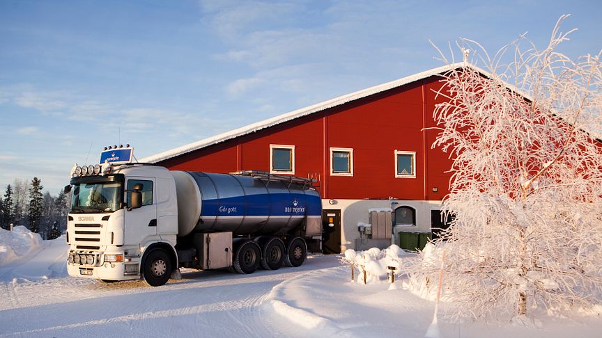 Från den första februari 2022 höjer Norrmejerier betalningen för mjölken till de norrländska mjölkbönderna.