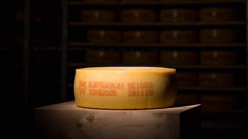 Västerbottensost® cheese chosen by CNN´s Great Big Story as subject of a new documentary