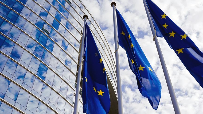 EU-parlamentet ryter ifrån - viktigt beslut för djurförsöksfri forskning och EU:s cirka 10 miljoner försöksdjur