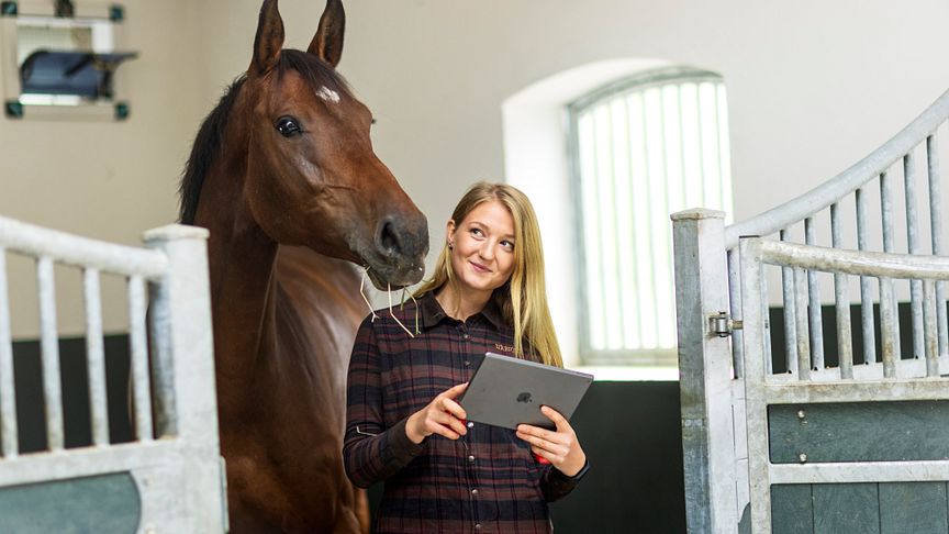 Dunstan startar försäljning av hästförsäkringar