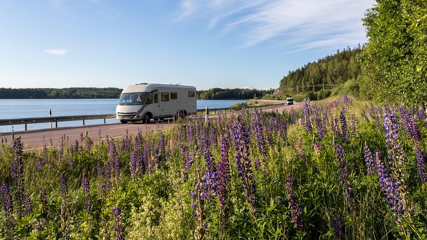 Rekordstor ökning av de svenska gästnätterna på Sveriges campingplatser 2021