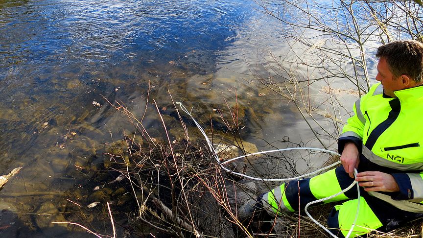 I løpet av senhøsten 2017 skal NGI levere en rapport til Miljødirektoratet om hvor de fluorerte miljøgiftene i Tyrifjorden stammer fra. 