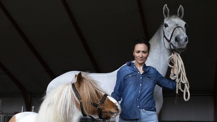 ATG Drömfond - sök 100  000 kronor till ditt hästprojekt