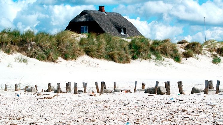 Sommer, Sonne, Skandinavien: mit Scandlines in den Sommerurlaub an die "Dänische Riviera"