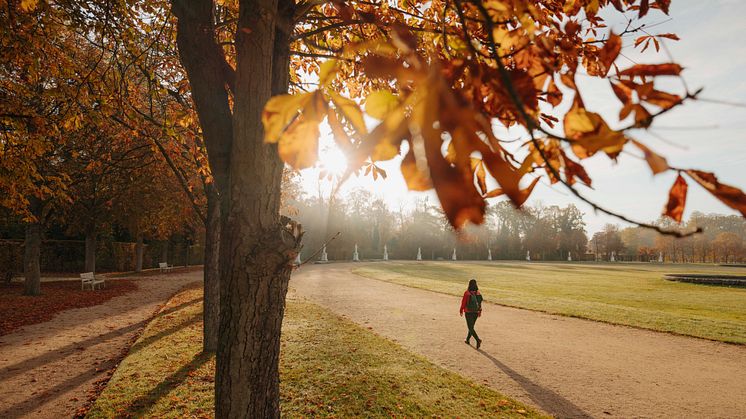Herbstspaziergang durch Park Sanssouci