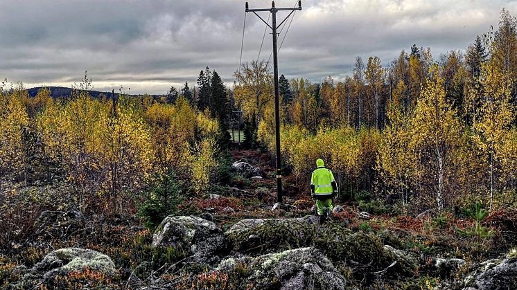 Karlskoga och Degerfors samarbetar kring elnäten