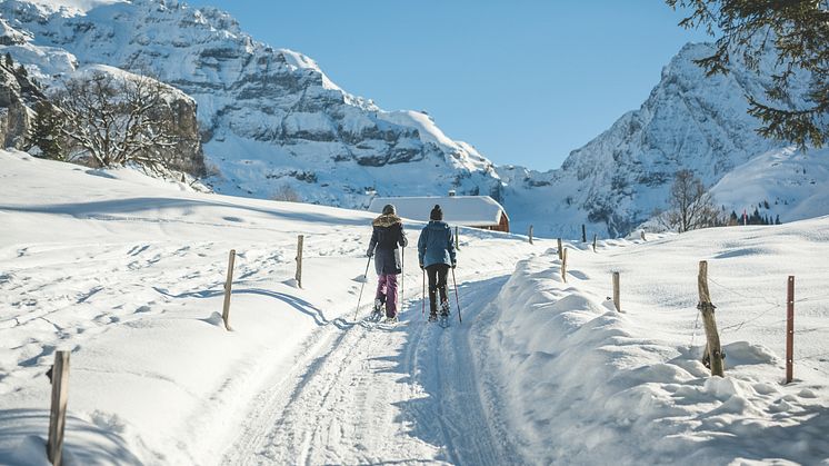 Schneeschuhwandern im Kiental (Berner Oberland) 