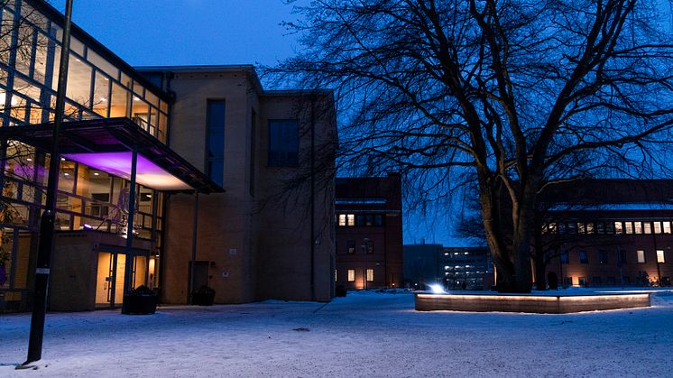Den 18 januari inviger Högskolan i Skövde sin nya forskarutbildning inom området Hälsa i det digitala samhället.